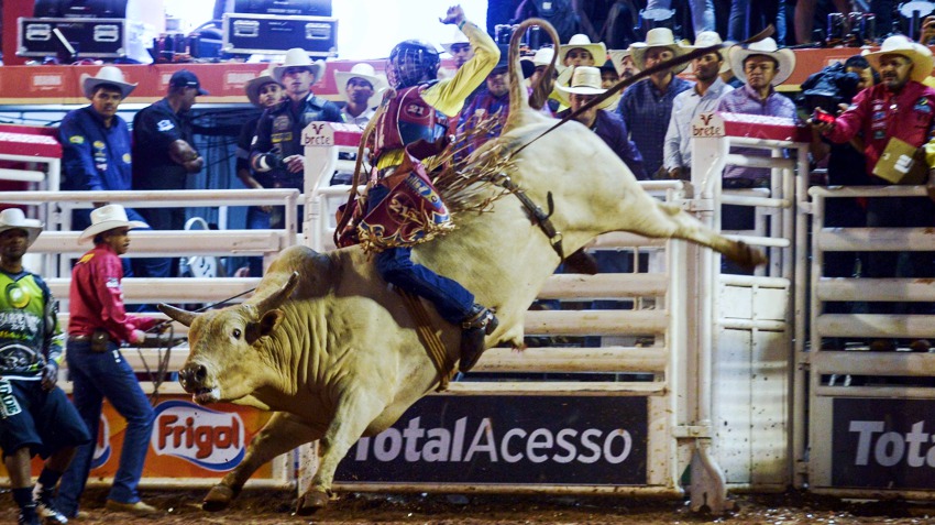 Peão campeão do rodeio de Barretos será recebido com festa em