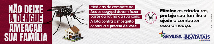 Dengue Março 2025